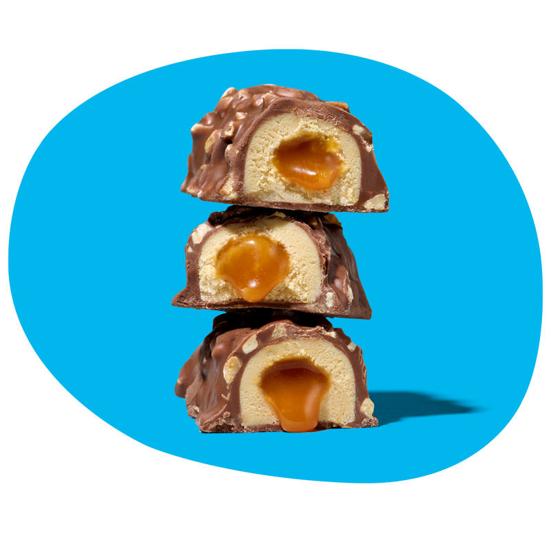 Proteinriegel Probierpaket